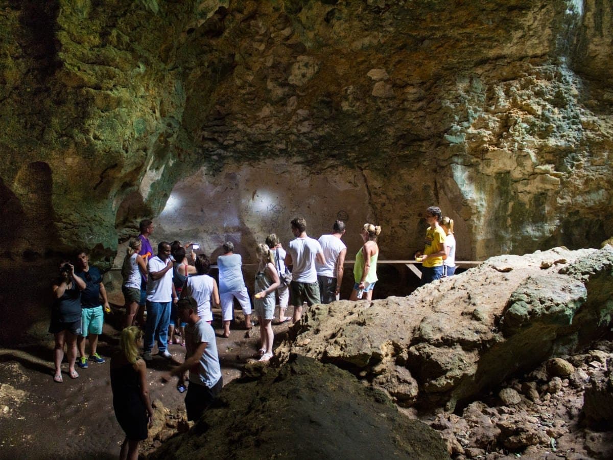 Nano & Vega Tours